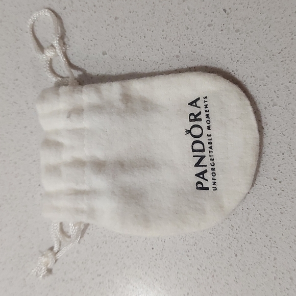 2/15$ Pandora Drawstring Bag - Picture 1 of 2